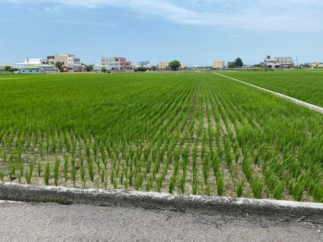彰化秀水農地-3