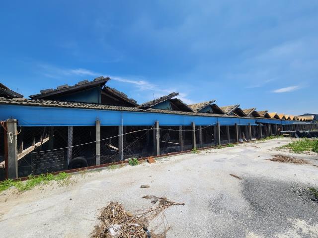 彰化北斗農地-2