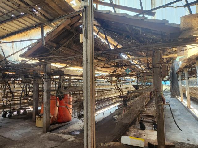 彰化北斗農地-4