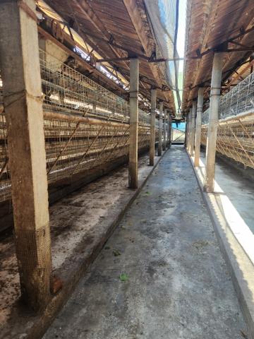 彰化北斗農地-5