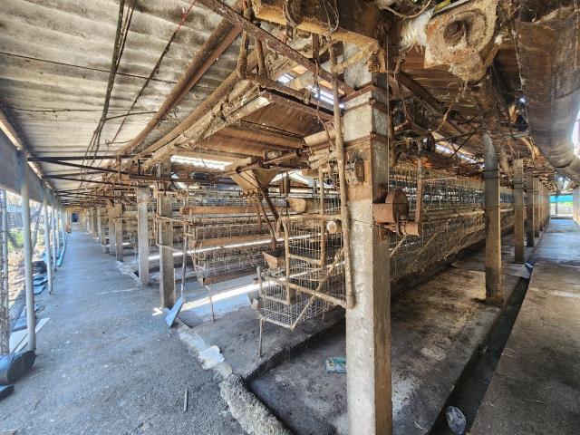 彰化北斗農地-6