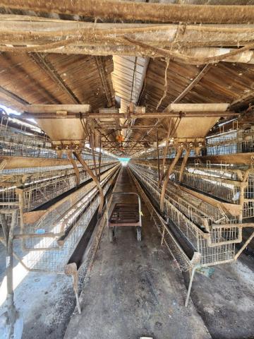 彰化北斗農地-7