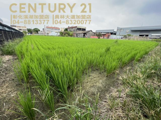 埔鹽農地-3