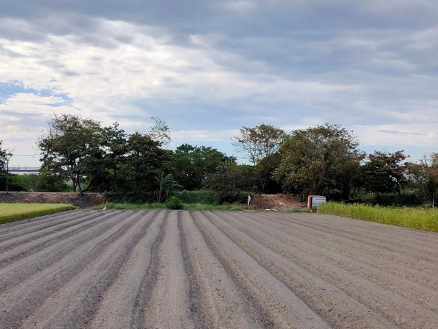 埔鹽農地-6