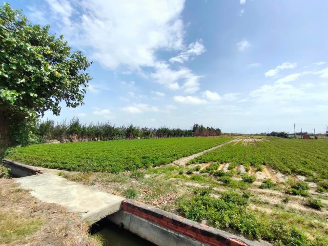 大城農地-8