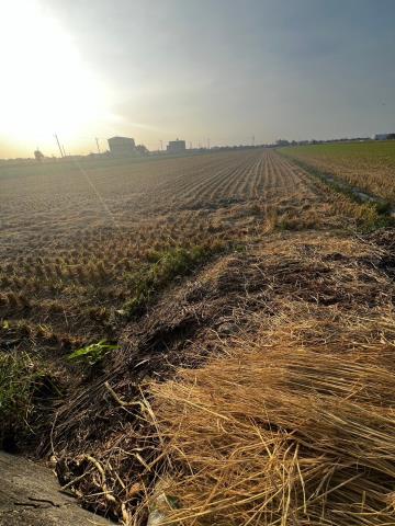 彰化埤頭農地-3