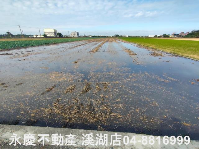 彰化埤頭農地-2