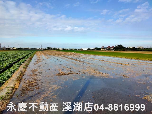 彰化埤頭農地-8