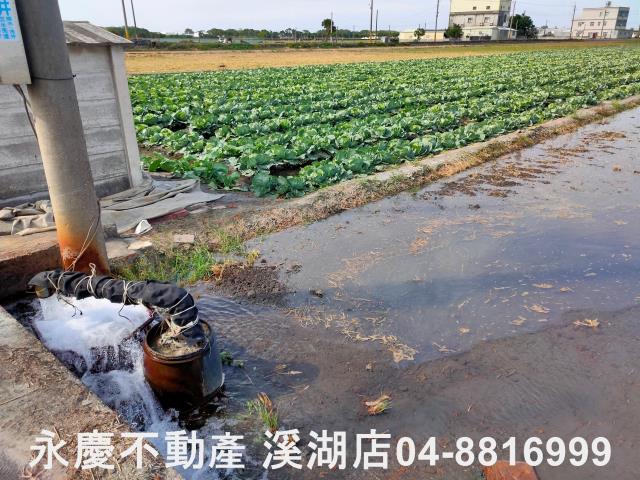 彰化埤頭農地-9