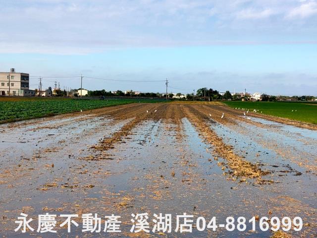 彰化埤頭農地-10