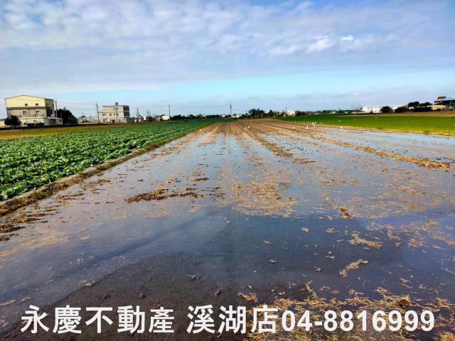 彰化埤頭農地-11