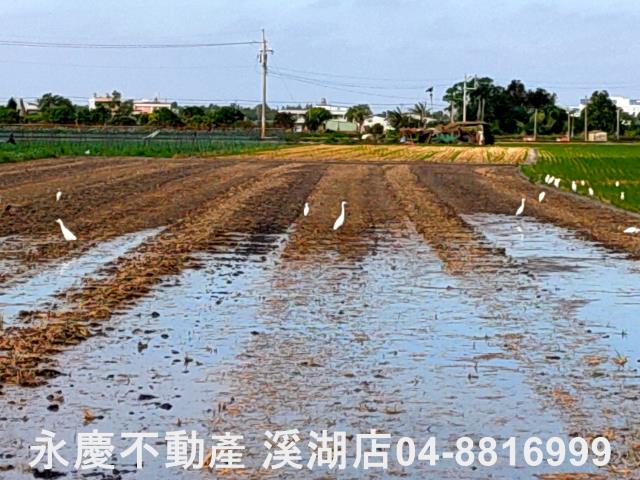 彰化埤頭農地-12