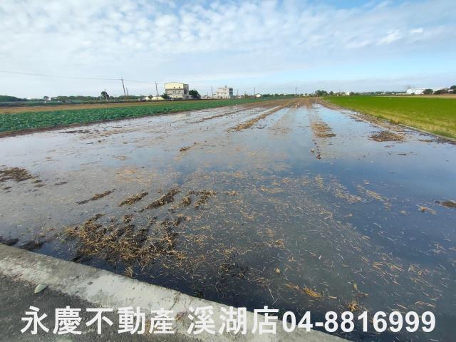 彰化埤頭農地-13