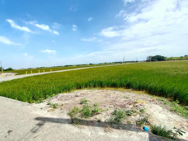 彰化二林農地-2