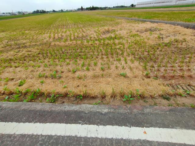彰化農地-8
