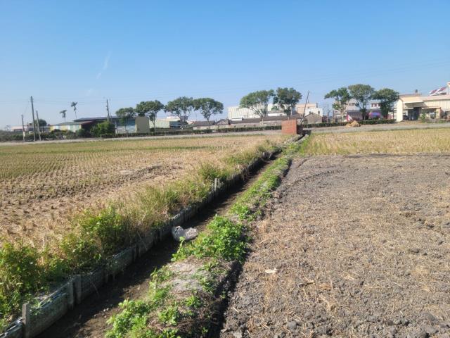 埤頭農地-0