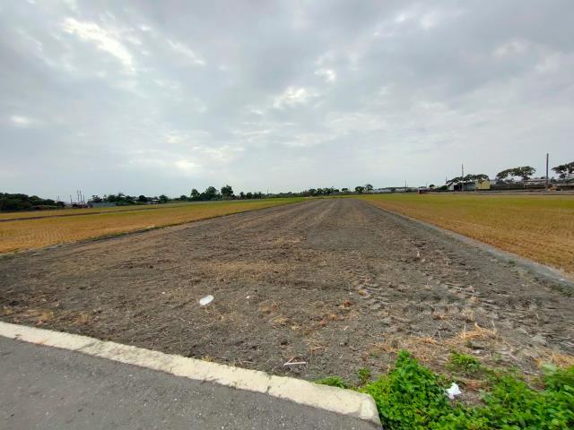 埤頭農地-5