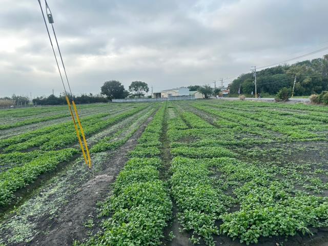 二林農地-9
