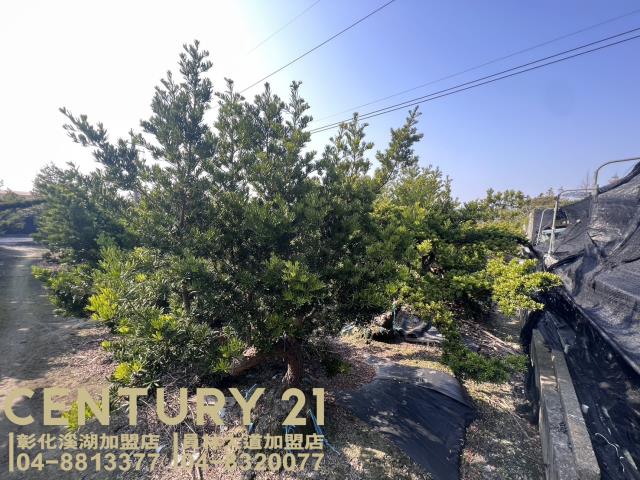 彰化永靖農地-1