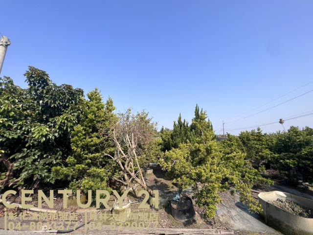 彰化永靖農地-0