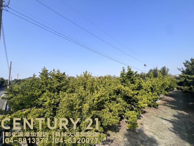 彰化永靖農地-2