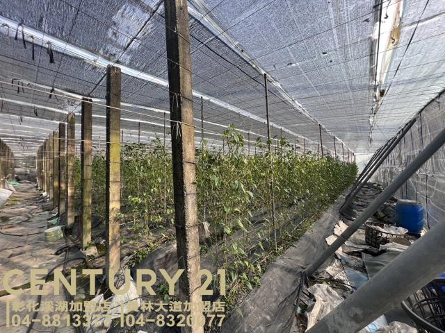 彰化永靖農地-1