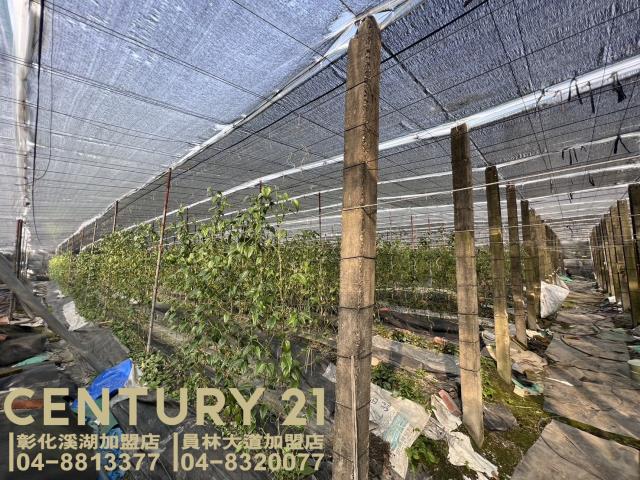 彰化永靖農地-3