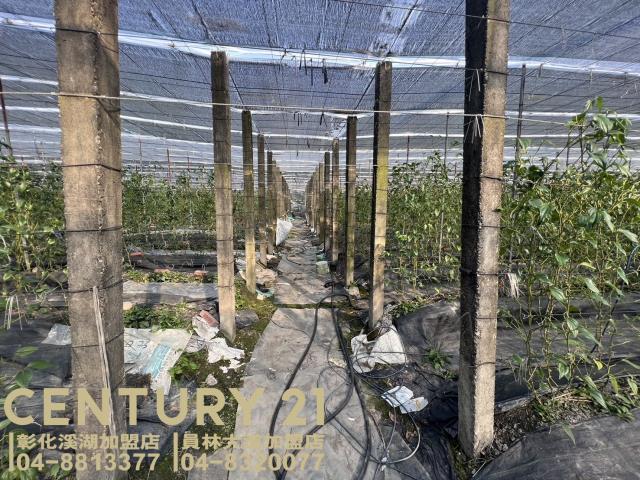 彰化永靖農地-6