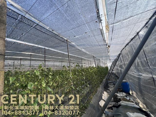 彰化永靖農地-0