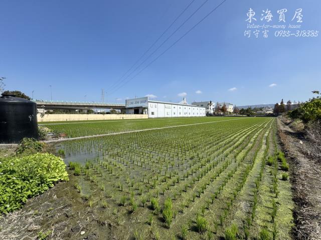 彰化永靖農地-9