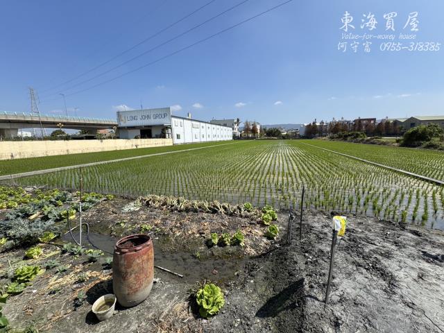 彰化永靖農地-11