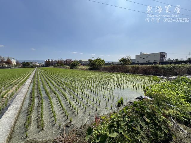 彰化永靖農地-0