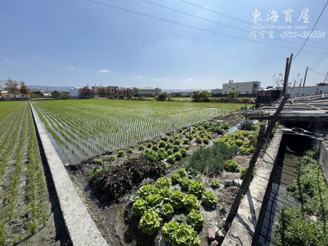 彰化永靖農地-3
