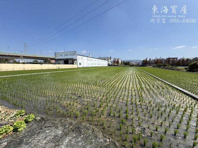 彰化永靖農地-5