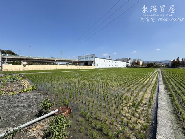 彰化永靖農地-7