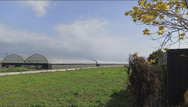 彰化溪湖農地-0