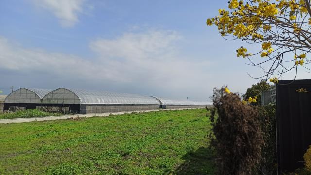 彰化溪湖農地-2