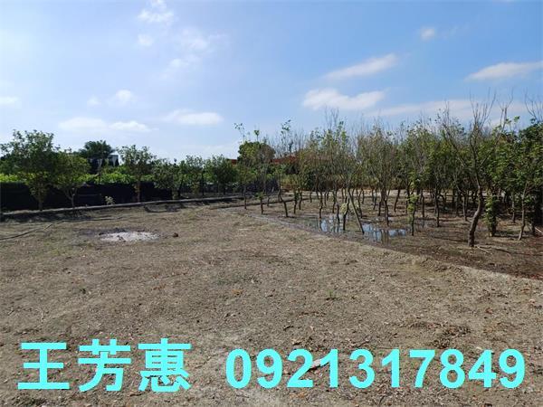 彰化溪州建地-4