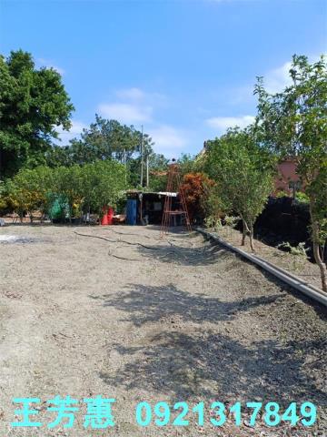 彰化溪州建地-5