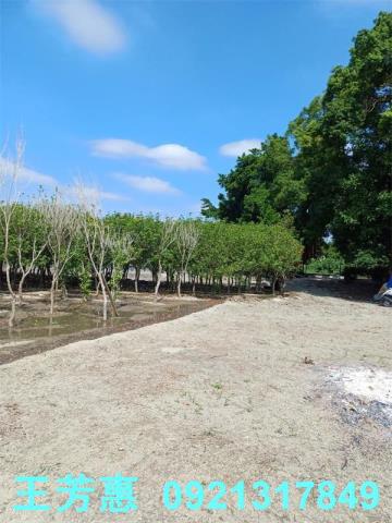 彰化溪州建地-6