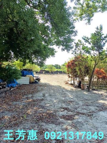 彰化溪州建地-8