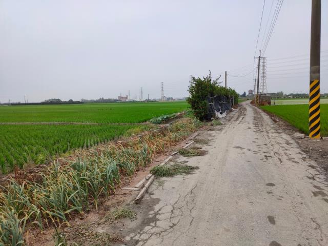 二林農地-10