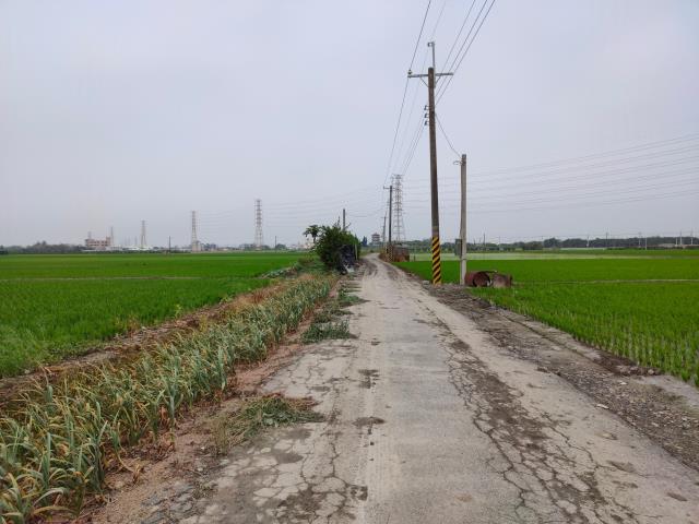 二林農地-11