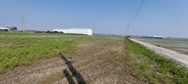 二林農地-12