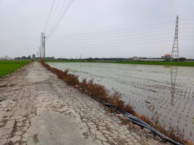 二林農地-3
