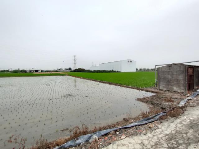 二林農地-7