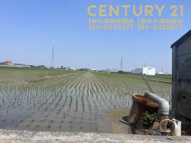 二林農地-2