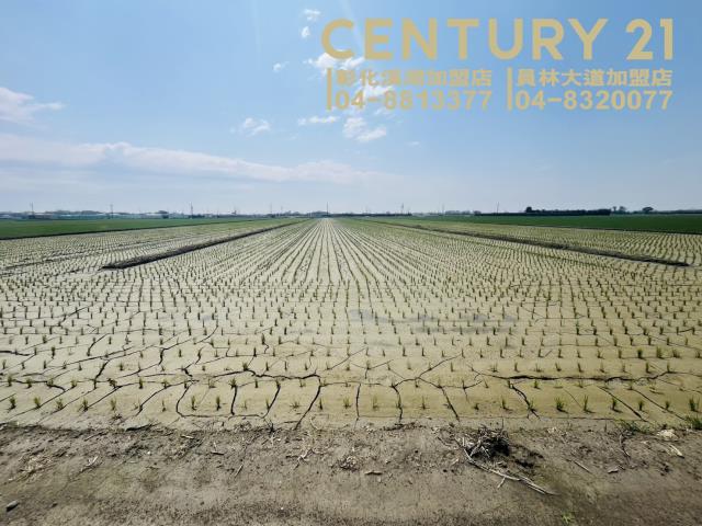 二林農地-8