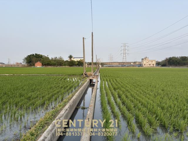 彰化竹塘農地-0