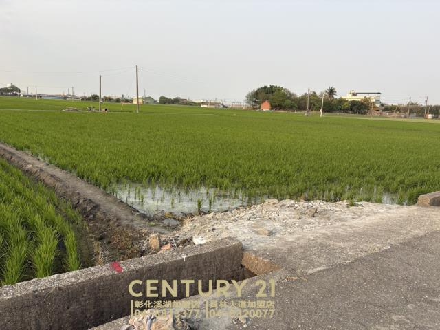 彰化竹塘農地-2